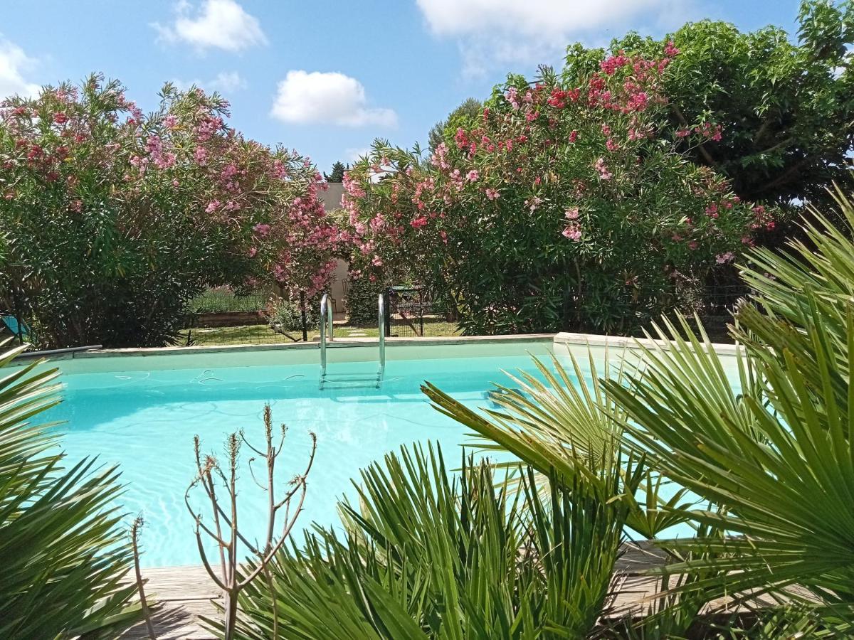 Cosy En Provence Villa Maillane ภายนอก รูปภาพ