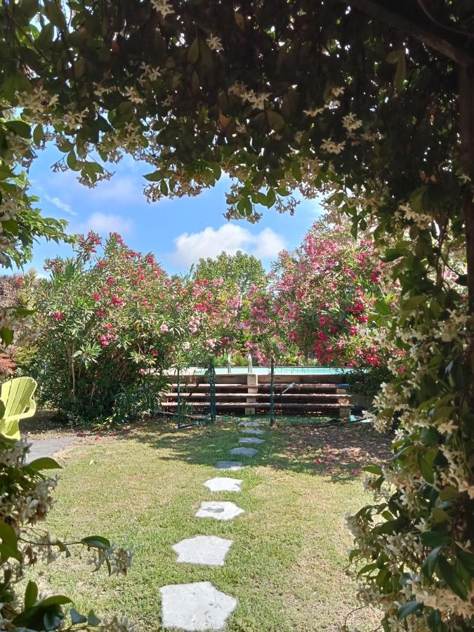 Cosy En Provence Villa Maillane ภายนอก รูปภาพ